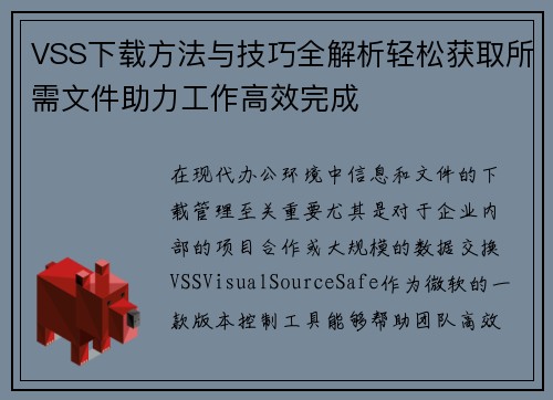 VSS下载方法与技巧全解析轻松获取所需文件助力工作高效完成