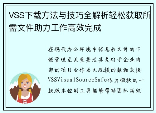 VSS下载方法与技巧全解析轻松获取所需文件助力工作高效完成